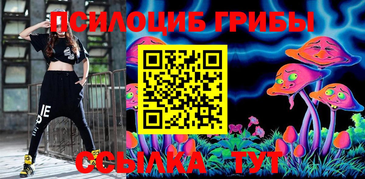 Псилоцибиновые грибы Psilocybe Будённовск