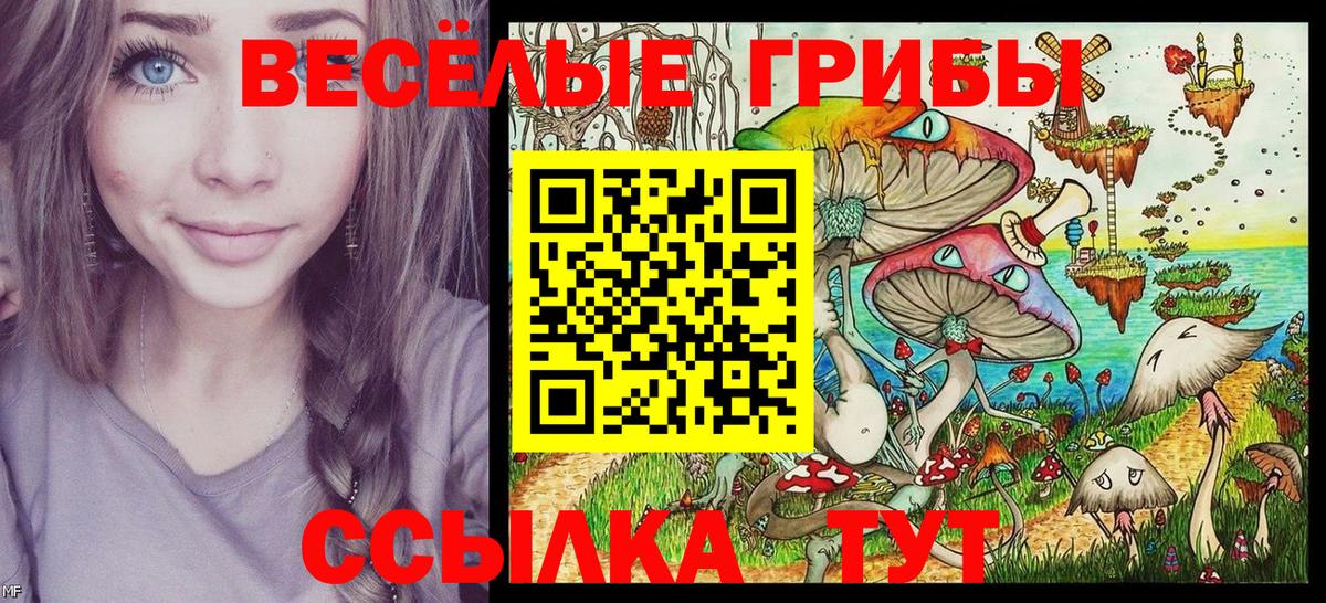 Псилоцибиновые грибы Psilocybine cubensis  Псилоцибиновые грибы мицелий  Вход с VPN  где купить наркоту  Будённовск 